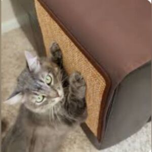 Snowpaw Cat Scratcher with Catnip and Remote Control Holder